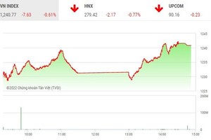 Giao dịch chứng khoán phiên chiều 14/9: Lực cầu bắt đáy nhập cuộc, HAG và OGC gây chú ý