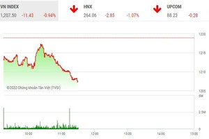Giao dịch chứng khoán phiên sáng 21/9: Chìm trong sắc đỏ 