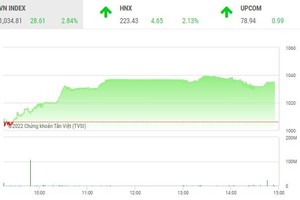 Giao dịch chứng khoán chiều 12/10: Ngân hàng, thép, bất động sản đua nhau khoe sắc tím, HAG bị xả mạnh 