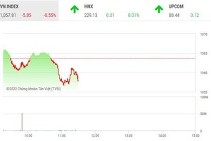 Giao dịch chứng khoán sáng 19/10: Nhà đầu tư ôm tiền mặt, thanh khoản thị trường cạn kiệt dần