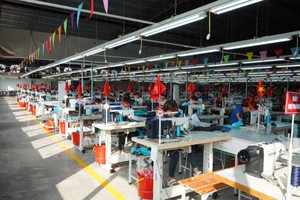 10 tháng, TNG đạt 256 tỷ đồng lợi nhuận