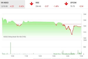 Giao dịch chứng khoán chiều 21/12: Hàng loạt mã giảm sàn, VN-Index vẫn được “cứu vớt” 