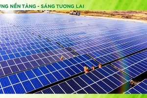 Bamboo Capital (BCG) linh hoạt điều chỉnh chiến lược kinh doanh để giữ vững đà tăng trưởng