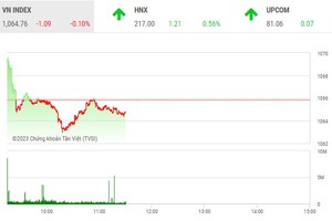 Giao dịch chứng khoán phiên sáng 24/5: Nhà đầu tư vẫn chủ động tìm đến các mã nhỏ