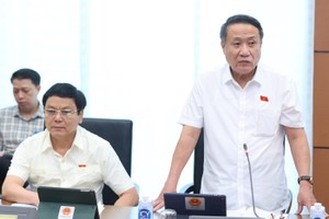 Đại biểu Hà Sỹ Đồng phát biểu tại tổ.