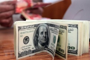 Fed giữ nguyên lãi suất, chấm dứt chuỗi 10 lần tăng liên tiếp