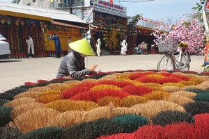Làng hương xứ Huế hút khách du Xuân đầu năm