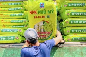Những lô sản phẩm NPK Phú Mỹ 20-10-10+TE chuyên dùng cho cây mía đầu tiên được chuyển đến bà con trồng mía tại Khánh Hòa