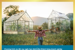 BAC A BANK: Ưu đãi lãi suất cho doanh nghiệp vay ngắn hạn