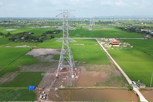 Dự án đường dây 500 kV NMNĐ Nam Định I - Thanh Hoá có 180 vị trí móng cột, 74 khoảng néo