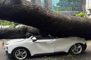 Bảo hiểm Ngân hàng Công thương ước bồi thường hàng trăm tỷ đồng do báo Yagi