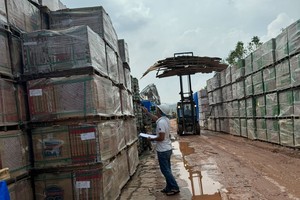 Bảo hiểm VietinBank (VBI) tạm ứng gần 50 tỷ đồng, ước thiệt hại gần 1.000 tỷ đồng