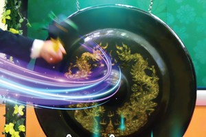 Gạt bớt nhiễu động