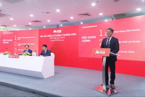 Đại hội đồng cổ đông năm 2025 MSB: Thoái vốn tại TNEX Finance và góp vốn/mua cổ phần công ty chứng khoán, công ty quản lý quỹ