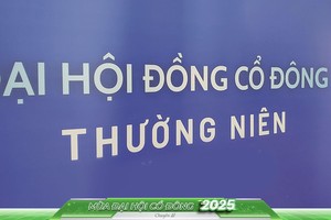Mùa đại hội nhiều “phấp phỏng”