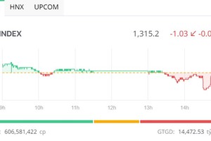 Phiên giao dịch chiều 11/6: Rung lắc 