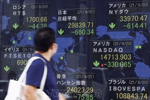 Các nhà đầu tư trẻ Nhật Bản đi ngược thế hệ trước, đang đổ tiền vào thị trường chứng khoán