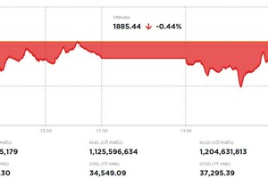 Nhóm dầu khí khởi sắc, VN-Index hãm đà rơi vào cuối phiên 