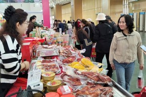 Phần lớn doanh nghiệp thành lập mới tháng đầu năm 2026 thuộc nhóm ngành dịch vụ