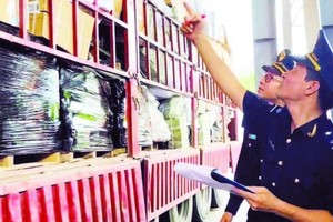 Hoạt động nghiệp vụ hải quan.