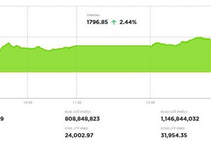 Chứng khoán khởi sắc 