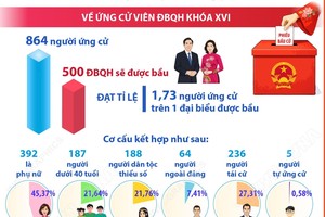 Bầu cử Quốc hội và HĐND các cấp: Công tác nhân sự được chuẩn bị chặt chẽ, bảo đảm cơ cấu theo quy định