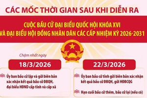 Bầu cử Quốc hội và HĐND: Các mốc thời gian sau khi diễn ra cuộc bầu cử