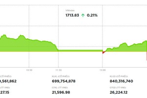 Rung lắc mạnh cuối phiên, VN-Index vẫn giữ được sức xanh 