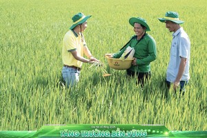 PVFCCo - Phú Mỹ (DPM) đặt kế hoạch vận hành ở công suất cao và lợi nhuận sau thuế 680 tỷ đồng