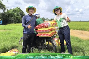 PVFCCo - Phú Mỹ (DPM) đặt kế hoạch vận hành ở công suất cao và lợi nhuận sau thuế 680 tỷ đồng