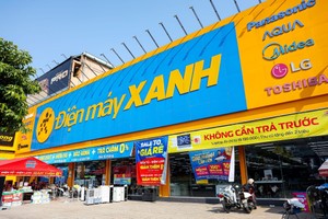 Cột trụ vững chắc từ mảng bán lẻ cốt lõi tại Việt Nam tạo bệ phóng tài chính mạnh mẽ để DMX tự tin hiện thực hóa các động cơ tăng trưởng mới