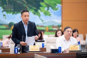 Thứ trưởng Bộ Công thương Nguyễn Việt Sơn trình bày tờ trình - Ảnh: QH.