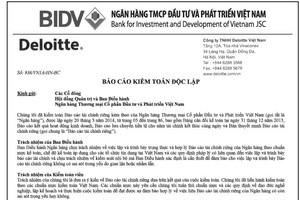 Báo cáo kiểm toán riêng lẻ