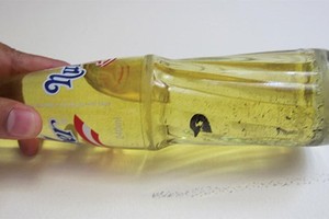 Cái kết vụ “con ruồi nửa tỷ” trong chai Number One