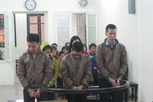 Rao bán giấy tờ giả trên facebook, 4 thanh niên nhận án tù