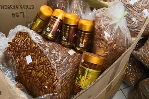 đơn vị nhập khẩu độc quyền và phân phối sản phẩm sữa ong chúa nhãn hiệu Royal Jelly Costar 1.450mg khẳng định, số sữa ong chúa bị thu giữ là hàng giả (Ảnh min họa)