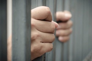 Đóng giả cán bộ ngân hàng, lừa ân nhân 19,5 tỷ đồng