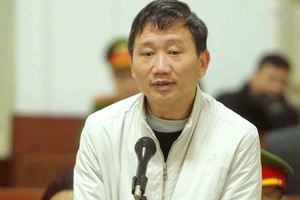 Bị cáo Trịnh Xuân Thanh. Ảnh TTXVN.