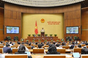 Không thể dùng lòng tốt để khắc phục bão lũ 