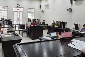 Vụ đánh tráo sổ đỏ, bán đất: Cặp vợ chồng “hờ” lĩnh án