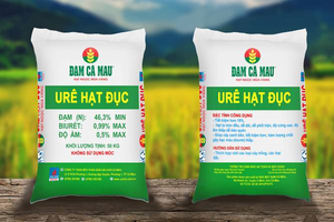 DCM: Cổ phiếu liên tục tăng giá sau thông tin cổ đông nội bộ mua vào