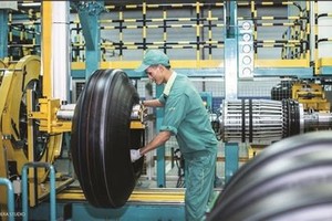 Cao su Đà Nẵng (DRC) đặt kế hoạch kinh doanh thận trọng trong năm 2020