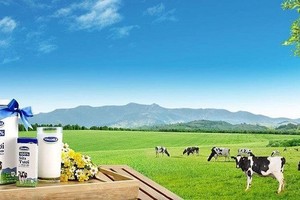 Vinamilk (VNM) chi gần 1.700 tỷ đồng mua 17,5 triệu cổ phiếu quỹ