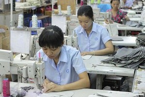 Gilimex (GIL) dự kiến huy động trái phiếu tối đa 100 tỷ đồng