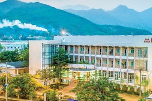 Cao su Đà Nẵng (DRC) ước lợi nhuận quý III/2020 đạt 74 tỷ đồng, giảm 28%