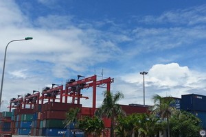 Cảng Đình Vũ (DVP) tạm ứng cổ tức năm 2020 với tỷ lệ 15%