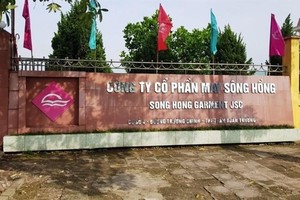 May Sông Hồng (MSH): Quý IV/2020, lợi nhuận đạt 66,4 tỷ đồng, giảm 28,5%