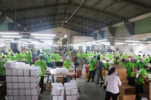 Xưởng sản xuất của Gỗ Đức Thành (GDT)