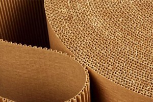 Giấy Hoàng Hà Hải Phòng (HHP) chào sàn HOSE ngày 3/3 với vốn hóa 232,2 tỷ đồng