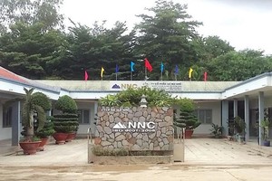 Đá Núi Nhỏ (NNC) đặt kế hoạch lợi nhuận giảm mạnh năm 2021